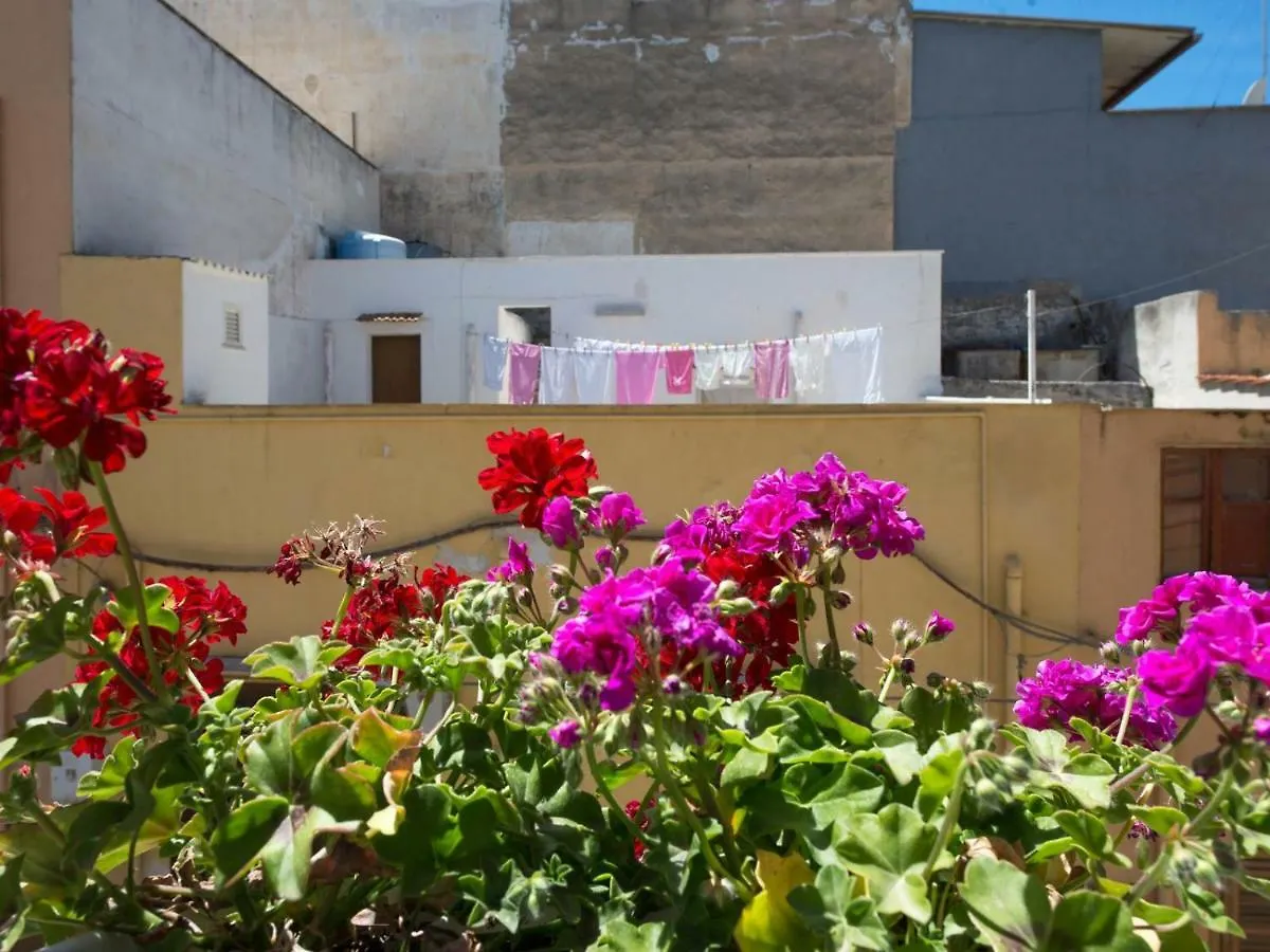 Salsedine Villa Terrasini Holiday home